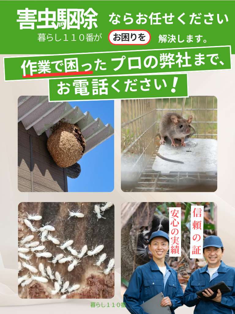 宮城県の害虫駆除サービス(スマートフォン版)